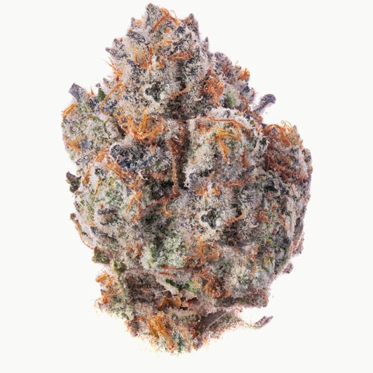 Quality Over Quantity - Tropical Zkittlez Flower 14g - 1