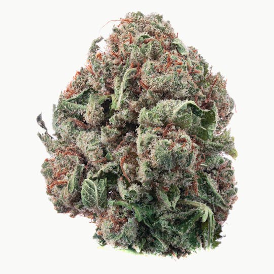 Hype Train - Jelly Cake Flower 3.5g - 1