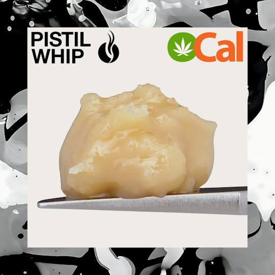 Pistil Whip - Bahama Mama OCal Live Rosin Badder (1g) - 1