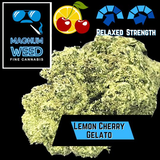 Magnum Weed - Magnum Lemon Cherry Gelato - 1