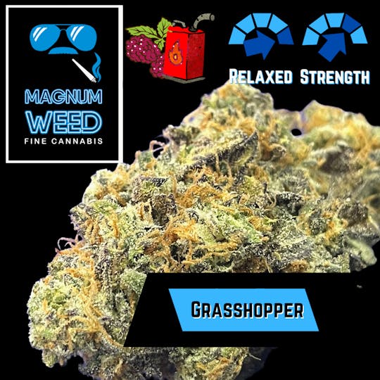 Magnum Weed - Magnum Grasshopper - 1