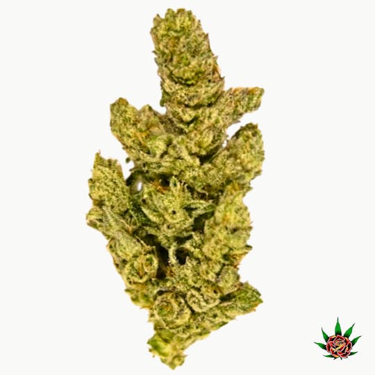 Eden Rose Processing - Exotic Shelf (Orange) Platinum Lemon Cherry Gelato (Hybrid) - 1