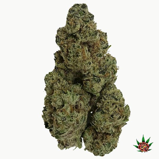 Eden Rose Processing - Exotic Shelf (Orange) - Kush Mints (Hybrid) - 1