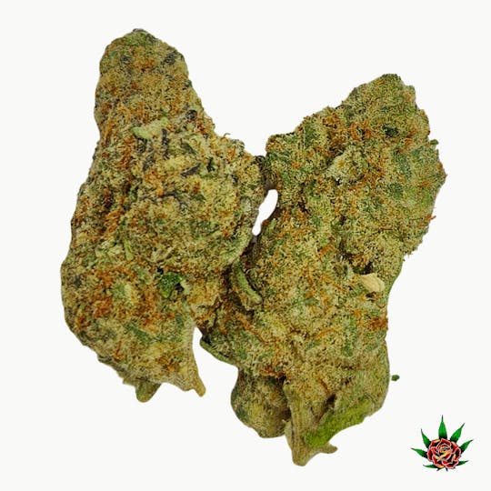 Eden Rose Processing - Exotic Shelf (Orange) - Doritoz (Hybrid) - 1