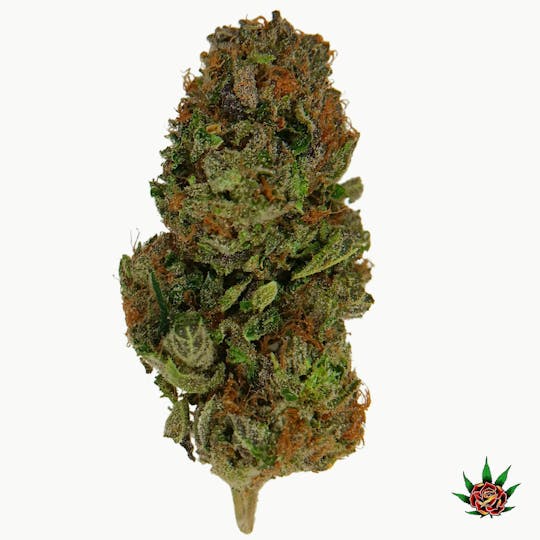 Eden Rose Processing - Exotic Shelf (Orange) - Dante's Inferno (Indica) - 1