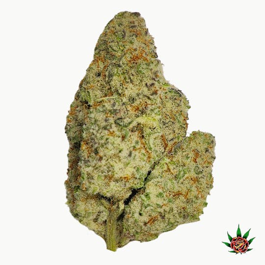 Eden Rose Processing - Yellow Shelf - Wedding Cake (Hybrid) - 1