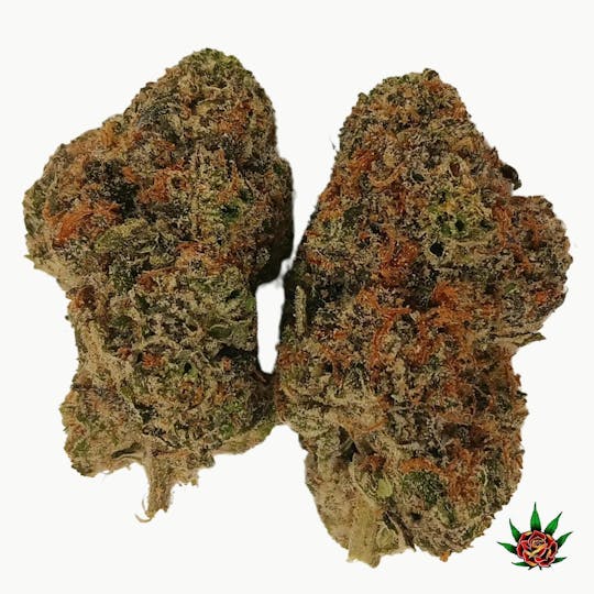 Eden Rose Processing - Yellow Shelf - Peanut Butter Breath (Indica) - 1