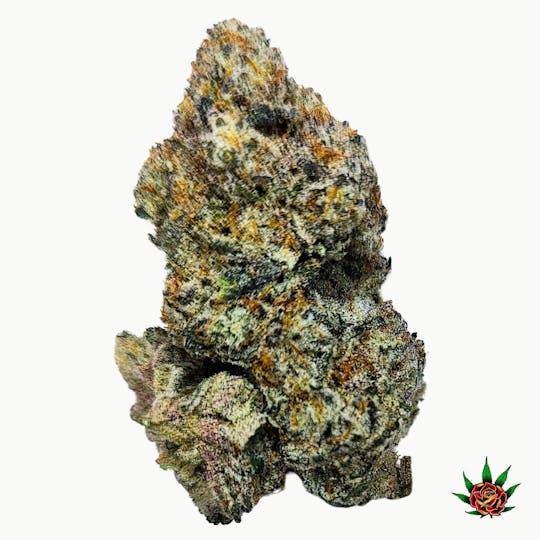 Eden Rose Processing - Exotic Shelf (Orange) - Double Jungle (Hybrid) - 1