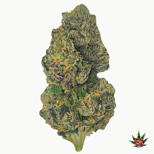 Eden Rose Processing - Exotic Shelf (Orange) - White Walker (Hybrid) - 1