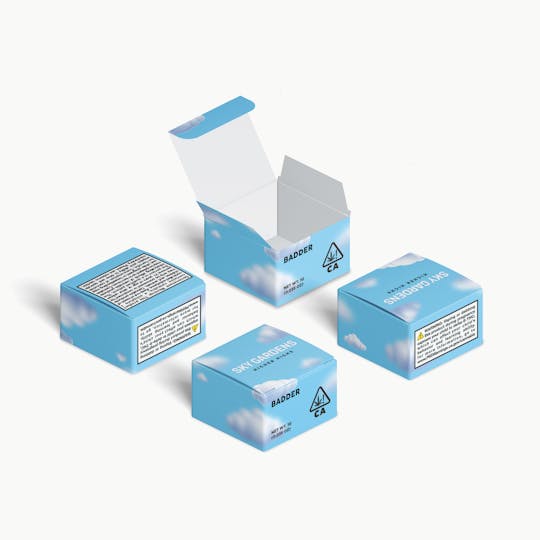 Sky Gardens - Fruitopia 1G Resin - 1