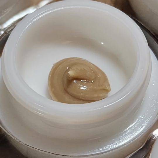 Daedalus Craft Cannabis - Sugar Pine - Live Rosin - 1 Gram - 1