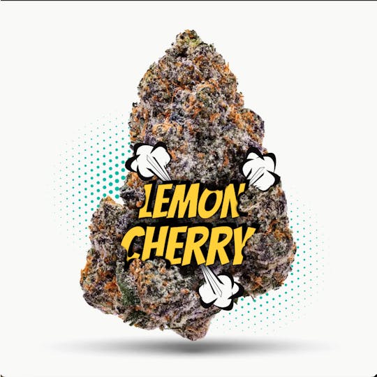 Frostiez - LCG (3.5g-1/8oz) - Topshelf Indoor - New Drop- Hybrid - 1