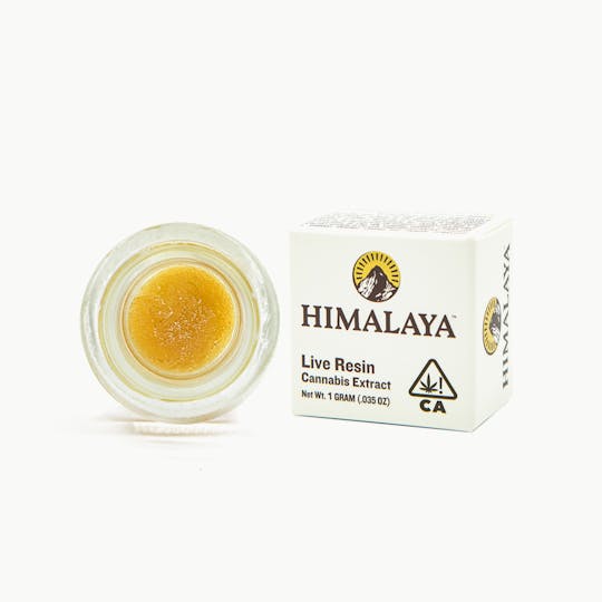 HIMALAYA - Fruit Punch (Live Resin Concentrate) - 1G - 1