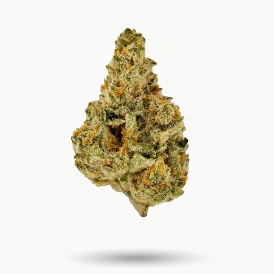 LA Native - Brrrberry - Mixed Light - 1