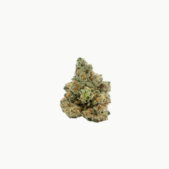 LA Native - Caribbean Candy - Mixed Light - 1