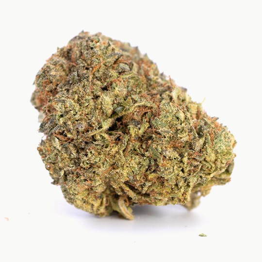 LA Native - Ice Queen Kush - Mixed Light - 1