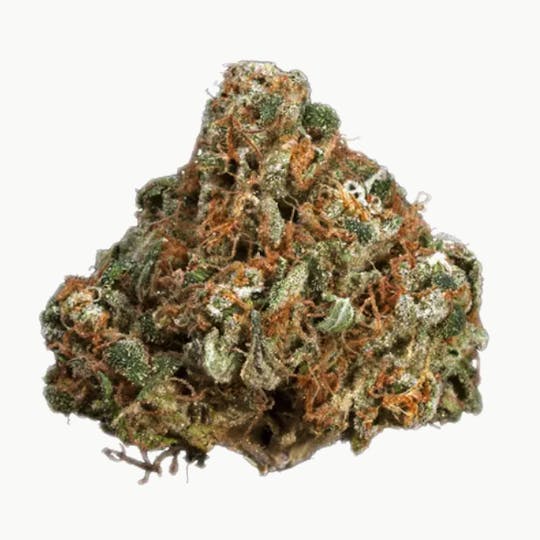LA Native - Red Eye - TOP SHELF INDOOR - 1