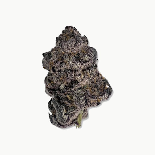 Indico - Super Buff Cherry - Willow Creek - 1