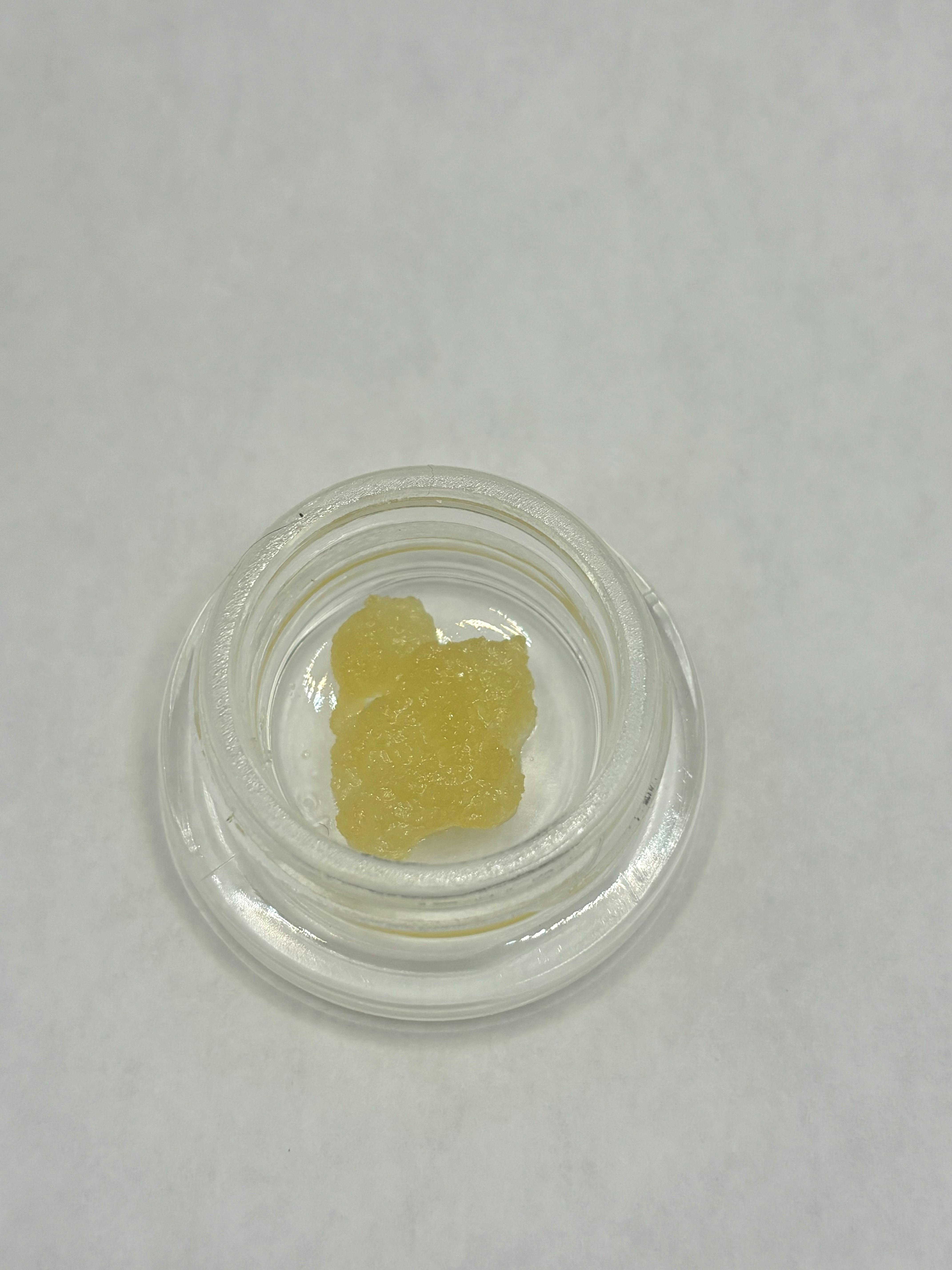 Dynastree - 🦄 Live Majestic Brunch - 1