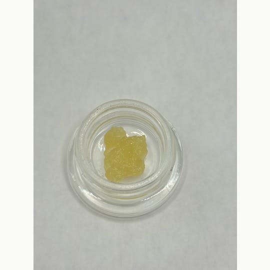 Dynastree - 🦄 Live Majestic Brunch - 1