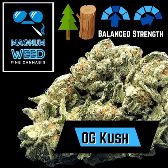 Magnum Weed - Magnum OG Kush - 1