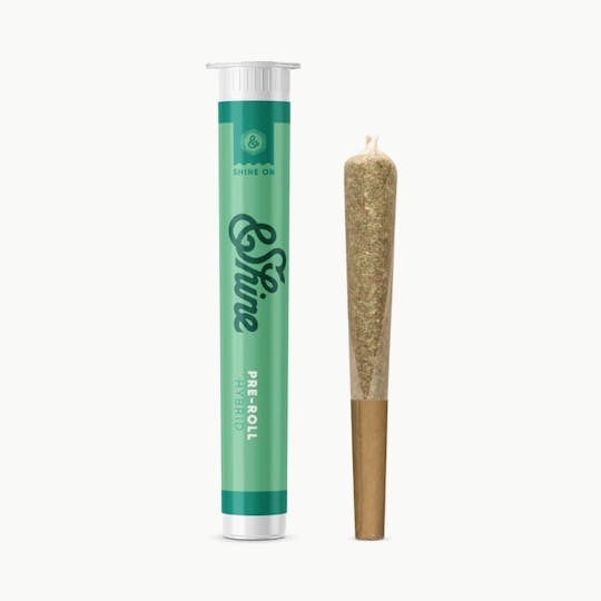 &SHINE - &Shine | Apple Sherbet | Pre-Roll | 1g - 1