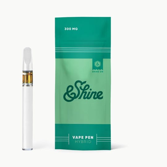&SHINE - &Shine | Winter Mint | Disposable | 300mg - 1