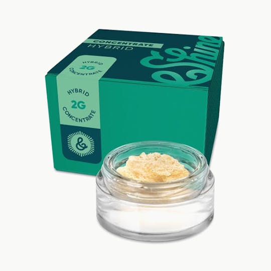 &SHINE - &Shine | Area 41 | Cured Concentrate Jar | 2g - 1