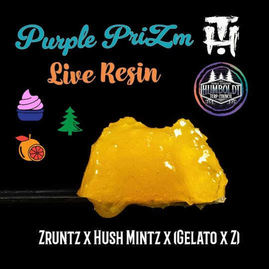 Humboldt Terp Council - Humboldt Terp Council | Live Resin Purple PriZm 1g - 1