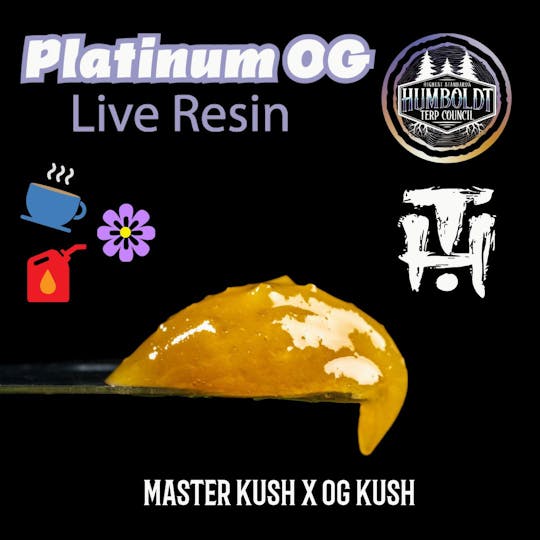 Humboldt Terp Council - Humboldt Terp Council | Live Resin Platinum OG 1g - 1