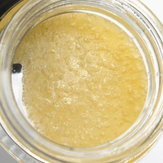 Fireweed Extracts - Fat Bastard Terp Sugar - 0.5g - 1