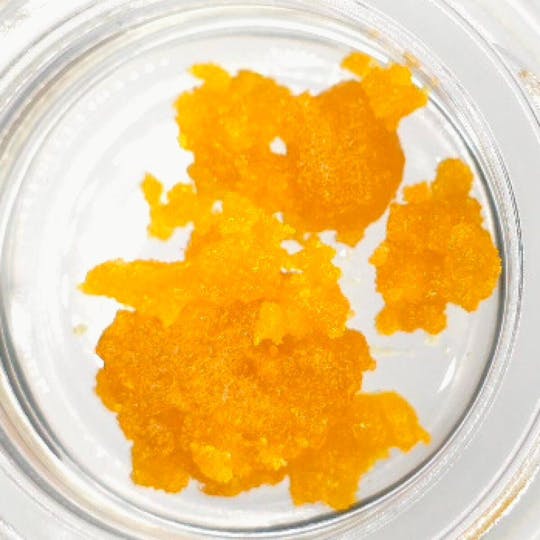 Fireweed Extracts - Kenai Gold Terp Sugar - 0.5g - 1
