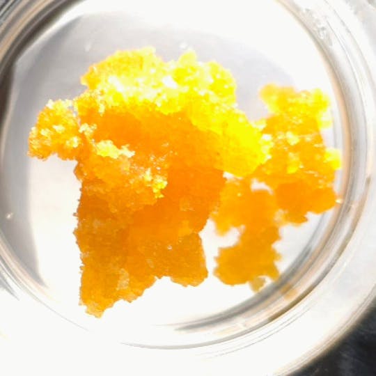 Fireweed Extracts - Kush Mints Terp Sugar - 1g - 1