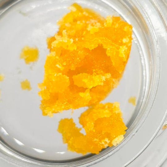 Fireweed Extracts - Lemon Cookie Terp Sugar - 3.5g Big Jar - 1