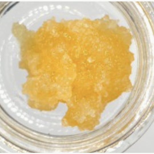 Fireweed Extracts - Gold Cookies Terp Sugar - 3.5g Big Jar - 1