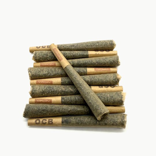 Northeast Alliance - Indica Mix Dog Walker - 1