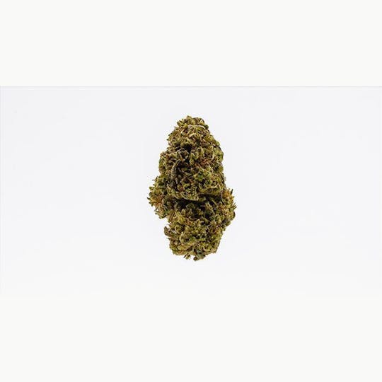East Fork Cultivars - Flower - ACDC Cookies - 1