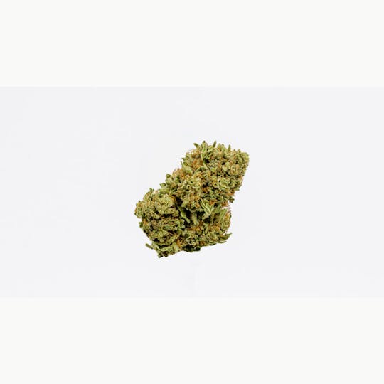 East Fork Cultivars - Flower - Jelly Delight - 1