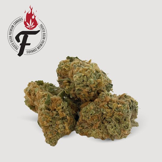 Fuego by Nature - Blue Dream - Fuego - 1
