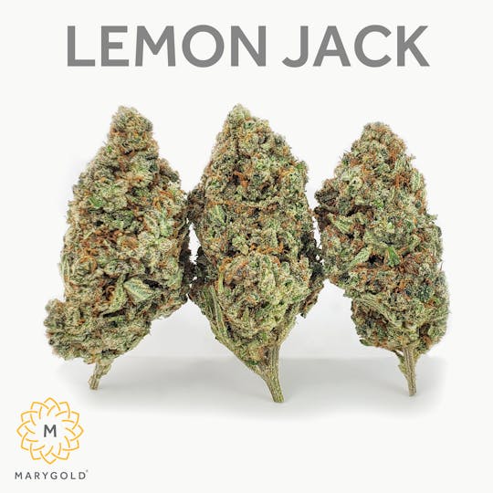 Marygold - Lemon Jack 3.5g - 1