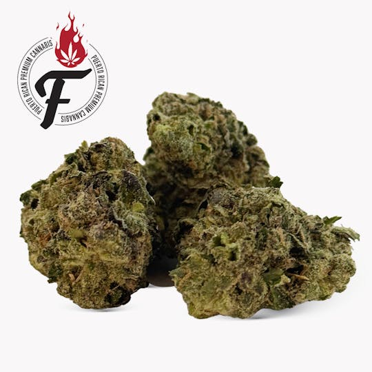 Fuego by Nature - Ruthless Runtz - 1