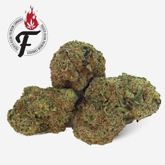 Fuego by Nature - LSD - 1