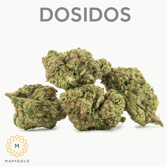 Marygold - DoSiDos 3.5g - 1