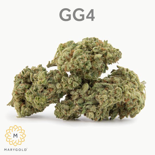 Marygold - GG4 3.5g - 1