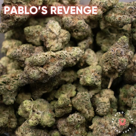 Kind Love Brand - Pablo's Revenge - 1