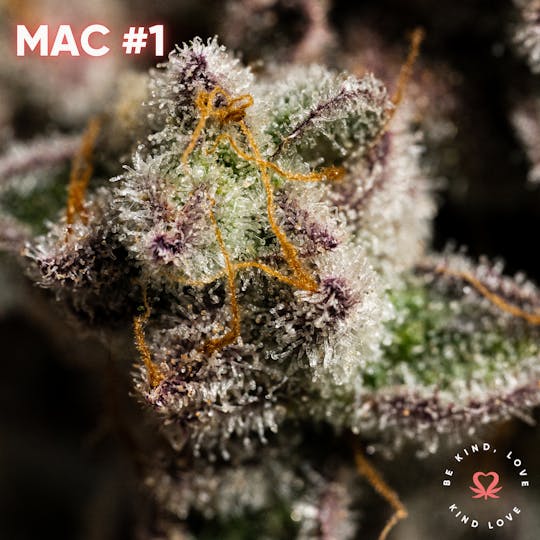 Kind Love Brand - MAC #1 - 1