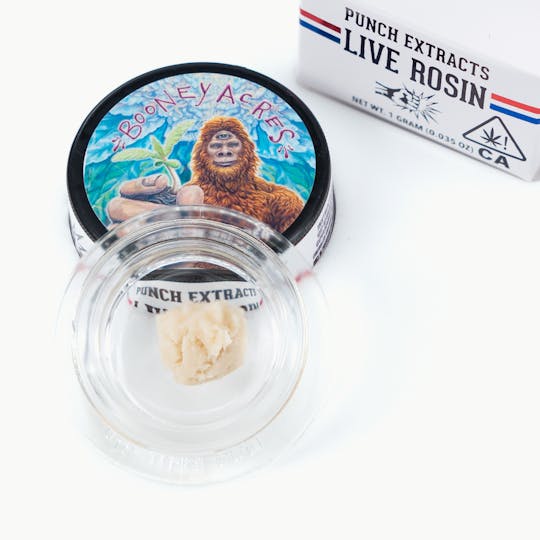 Punch Edibles & Extracts - Lemoncane Tier 1 Live Rosin Cold Cure Badder (1g) - 1
