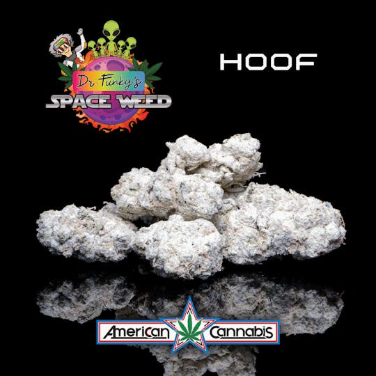 American Cannabis Company - Dr. Funky's Space Weed Hoof 3.5g (Hybrid) - 1