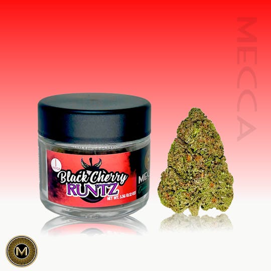 Mecca - Black Cherry Runtz - 1