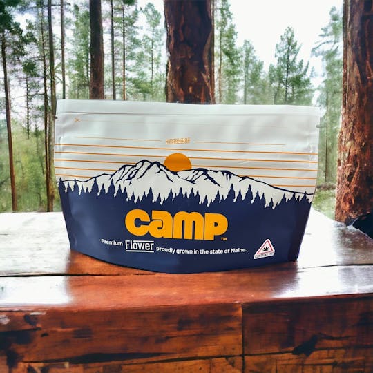 Camp Cannabis - Brain Stain - 1